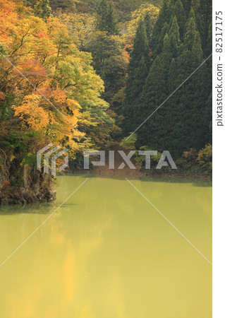 Kirigenkyo Pass (Colored leaves) 82517175