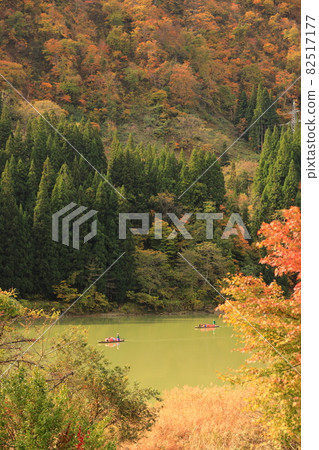 Kirigenkyo Pass (Colored leaves) 82517177