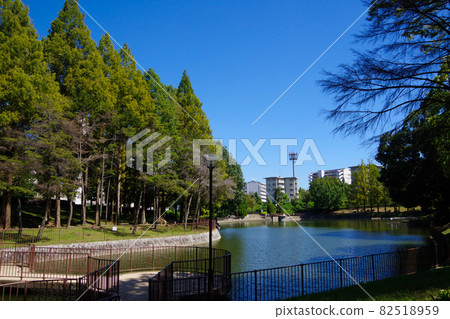 城市公園、鬱鬱蔥蔥的公園、池塘、休息處、新城 城市公園、鬱鬱蔥蔥的公園、池塘、休息處、新城 82518959