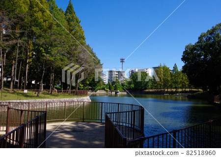 城市公園、鬱鬱蔥蔥的公園、池塘、休息處、新城 82518960