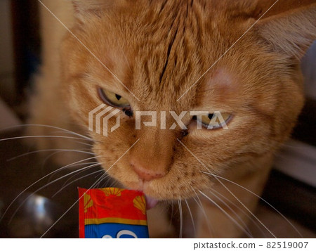 A cat that eats snacks innocently 82519007