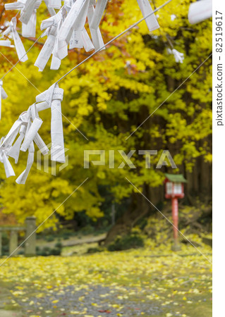 以黃色銀杏樹和落葉為背景的近江寺[岩堂觀音莊方寺]/埼玉縣東松山市 82519617