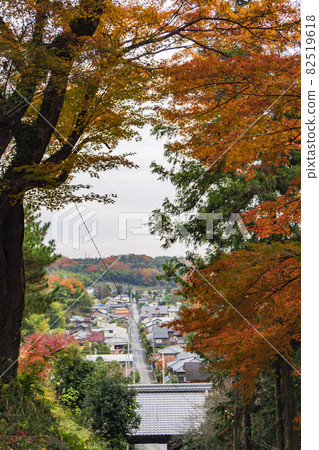 參拜紅葉的參拜道【岩堂觀音莊方寺】/埼玉縣東松山市 參拜紅葉的參拜道【岩堂觀音莊方寺】/埼玉縣東松山市 82519618