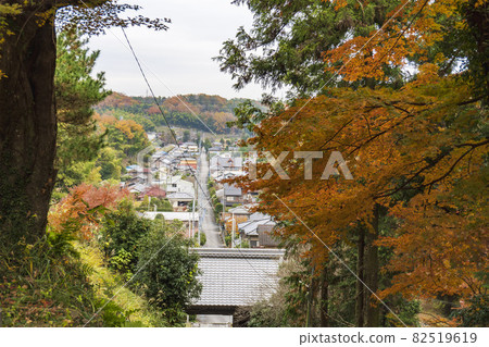 The approach to the shrine overlooking the autumn leaves [Iwadono Kannon Shoboji] / Higashimatsuyama City, Saitama Prefecture 82519619