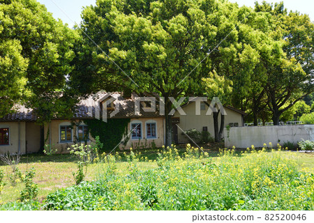 I went to Komorebi Mori no Ibarand # 8 I went to Komorebi Mori no Ibarand # 8 82520046