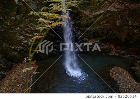 渡良瀨川的支流橋戶川上的不動瀑布 82520514