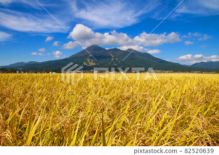 Inaho and Hiyama (Fukushima Prefecture, Inawashiro Town) 82520639