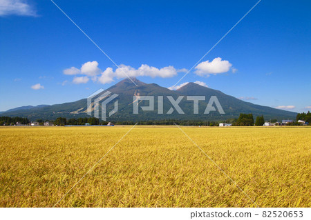 Inaho and Hiyama (Fukushima Prefecture, Inawashiro Town) 82520653