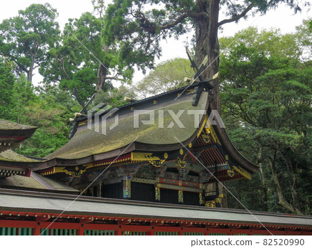 Kashima Jingu 4 main shrine 82520990