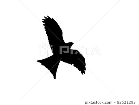 Red Kite raptor bird black silhouette Red Kite raptor bird black silhouette 82521292