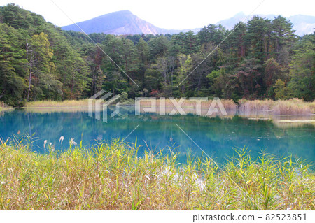 Rurinuma / Goshinuma Nature Exploration Road (Fukushima Prefecture, Kitashiobara Village) 82523851