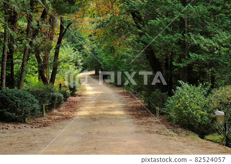 Hongneung Forest Trail 82524057