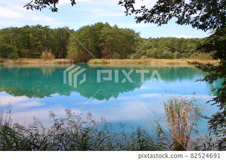 Bentennuma / Goshinuma Nature Exploration Road (Fukushima Prefecture, Kitashiobara Village) 82524691