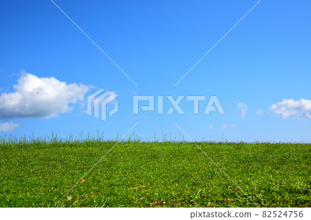 Refreshing blue sky and grassland / Nago City, Okinawa Prefecture 82524756