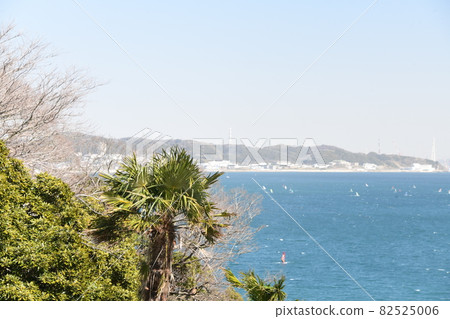 Miura Beach Miura Beach 82525006