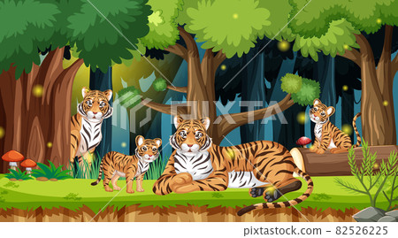 Tiger family in forest landscape background 82526225