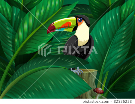 Toucan hidden in the tropical leaves background Toucan hidden in the tropical leaves background 82526238
