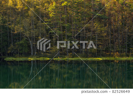 九月末的秋日早晨三剎池 九月末的秋日早晨三剎池 82526649