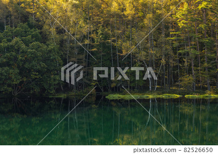 九月末的秋日早晨三剎池 九月末的秋日早晨三剎池 82526650