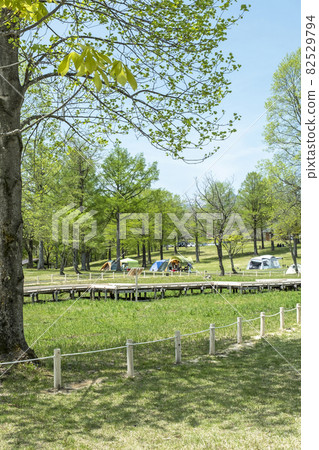 Hiruzen Kogen Campsite Fresh green / early summer scenery Hiruzen Kogen Campsite Fresh green / early summer scenery 82529794