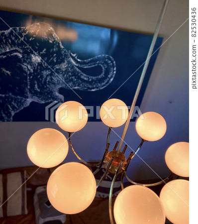 Panels with elephants and stylish lighting hung from the ceiling 82530436