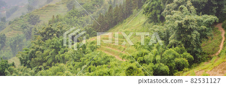 BANNER, LONG FORMAT Rice terraces in the fog in Sapa, Vietnam. Rice fields prepare the harvest at Northwest Vietnam. Vietnam opens to tourism after quarantine Coronovirus COVID 19 BANNER, LONG FORMAT Rice terraces in the fog in Sapa, Vietnam. Rice fields prepare the harvest at Northwest Vietnam. Vietnam opens to tourism after quarantine Coronovirus COVID 19 82531127