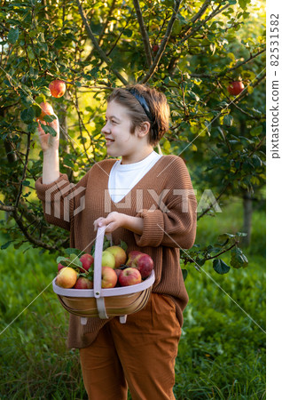 Girl is picking fresh organic apples 82531582