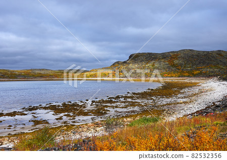 Barents Sea in autumn on the Kola Peninsula in northern Russia Barents Sea in autumn on the Kola Peninsula in northern Russia 82532356