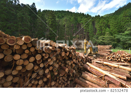Forest maintenance Scenery of the loading workshop of thinned wood 82532478