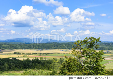俯瞰北海道中部美妙的糧倉的萌之丘 82532512