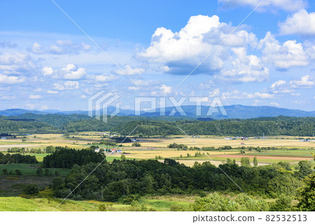 俯瞰北海道中部美妙的糧倉的萌之丘 82532513