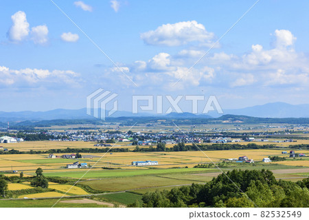 俯瞰北海道中部美妙的糧倉的萌之丘 俯瞰北海道中部美妙的糧倉的萌之丘 82532549