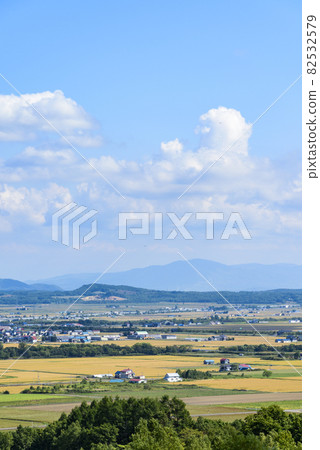 俯瞰北海道中部美妙的糧倉的萌之丘 俯瞰北海道中部美妙的糧倉的萌之丘 82532579