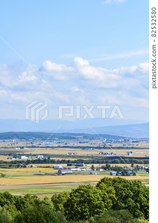 俯瞰北海道中部美妙的糧倉的萌之丘 俯瞰北海道中部美妙的糧倉的萌之丘 82532580