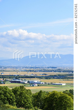 俯瞰北海道中部美妙的糧倉的萌之丘 82532581