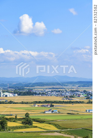 俯瞰北海道中部美妙的糧倉的萌之丘 俯瞰北海道中部美妙的糧倉的萌之丘 82532582