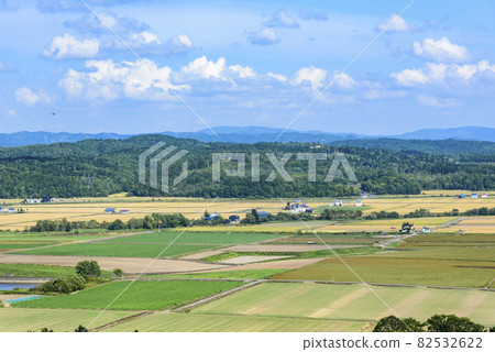 俯瞰北海道中部美妙的糧倉的萌之丘 82532622
