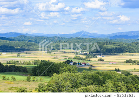 俯瞰北海道中部美妙的糧倉的萌之丘 82532633
