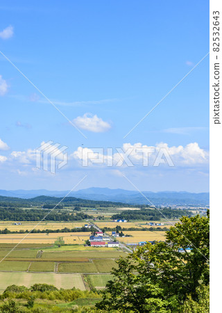 俯瞰北海道中部美妙的糧倉的萌之丘 俯瞰北海道中部美妙的糧倉的萌之丘 82532643