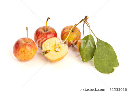 Red Dwarf Apple Isolated On White Background 82533016