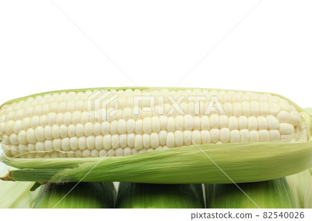 white corn with copy space on white background 82540026