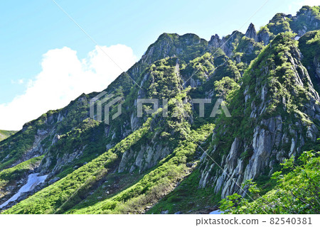 Midsummer Mt. Kisokoma Midsummer Mt. Kisokoma 82540381