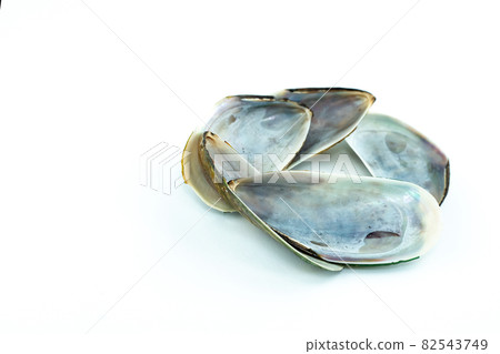 large mussels green open on isolated background with copy space large mussels green open on isolated background with copy space 82543749