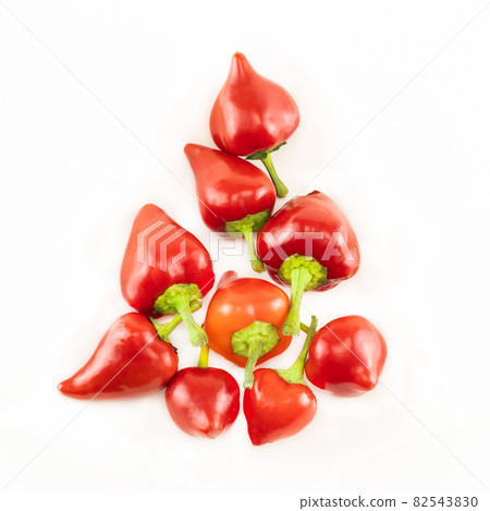 red pepper hot pod on isolated background seasoning red pepper hot pod on isolated background seasoning 82543830