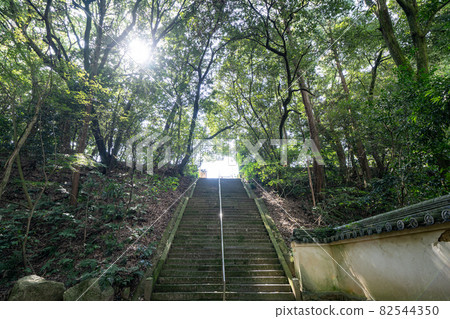 [No. 67 Fudasho] Daikoji Temple [88 places in Shikoku] 82544350