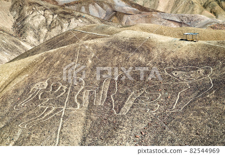The Monkey Geoglyph at Palpa in Peru 82544969