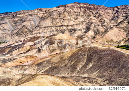 The Monkey Geoglyph at Palpa in Peru The Monkey Geoglyph at Palpa in Peru 82544971