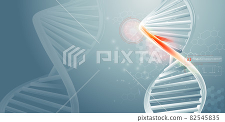 DNA double helix strands and scientific data infographics. DNA double helix strands and scientific data infographics. 82545835