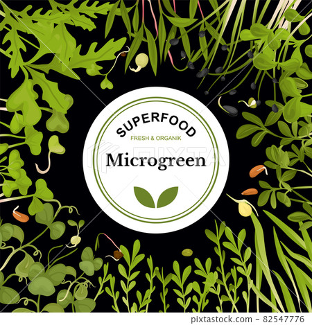 Colored Microgreen Frame 82547776