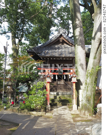 東京都杉並區馬橋稻荷神社 82548747